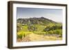 The Vineyards of Sancerre in the Loire Valley, Cher, Centre, France, Europe-Julian Elliott-Framed Photographic Print