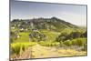 The Vineyards of Sancerre in the Loire Valley, Cher, Centre, France, Europe-Julian Elliott-Mounted Photographic Print