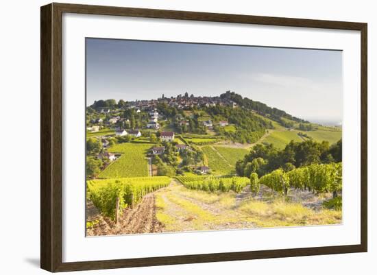 The Vineyards of Sancerre in the Loire Valley, Cher, Centre, France, Europe-Julian Elliott-Framed Photographic Print