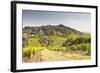 The Vineyards of Sancerre in the Loire Valley, Cher, Centre, France, Europe-Julian Elliott-Framed Photographic Print