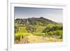 The Vineyards of Sancerre in the Loire Valley, Cher, Centre, France, Europe-Julian Elliott-Framed Photographic Print