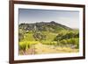 The Vineyards of Sancerre in the Loire Valley, Cher, Centre, France, Europe-Julian Elliott-Framed Photographic Print