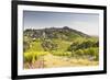 The Vineyards of Sancerre in the Loire Valley, Cher, Centre, France, Europe-Julian Elliott-Framed Photographic Print