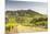 The Vineyards of Sancerre in the Loire Valley, Cher, Centre, France, Europe-Julian Elliott-Mounted Photographic Print