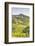 The Vineyards of Sancerre in the Loire Valley, Cher, Centre, France, Europe-Julian Elliott-Framed Photographic Print