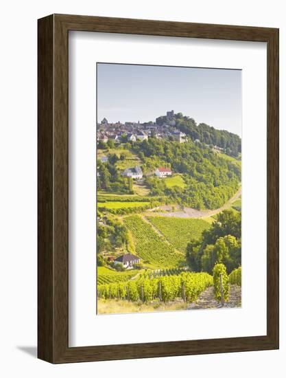 The Vineyards of Sancerre in the Loire Valley, Cher, Centre, France, Europe-Julian Elliott-Framed Photographic Print