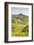 The Vineyards of Sancerre in the Loire Valley, Cher, Centre, France, Europe-Julian Elliott-Framed Photographic Print