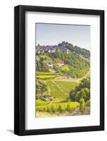 The Vineyards of Sancerre in the Loire Valley, Cher, Centre, France, Europe-Julian Elliott-Framed Photographic Print