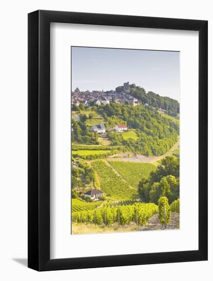 The Vineyards of Sancerre in the Loire Valley, Cher, Centre, France, Europe-Julian Elliott-Framed Photographic Print