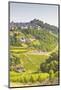 The Vineyards of Sancerre in the Loire Valley, Cher, Centre, France, Europe-Julian Elliott-Mounted Photographic Print