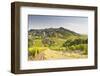 The Vineyards of Sancerre in the Loire Valley, Cher, Centre, France, Europe-Julian Elliott-Framed Premium Photographic Print