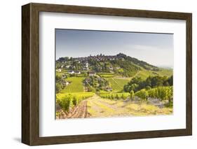 The Vineyards of Sancerre in the Loire Valley, Cher, Centre, France, Europe-Julian Elliott-Framed Photographic Print