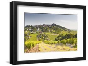 The Vineyards of Sancerre in the Loire Valley, Cher, Centre, France, Europe-Julian Elliott-Framed Photographic Print