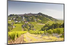 The Vineyards of Sancerre in the Loire Valley, Cher, Centre, France, Europe-Julian Elliott-Mounted Photographic Print