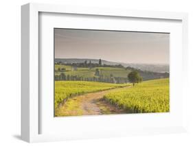 The Vineyards of Sancerre in the Loire Valley, Cher, Centre, France, Europe-Julian Elliott-Framed Photographic Print