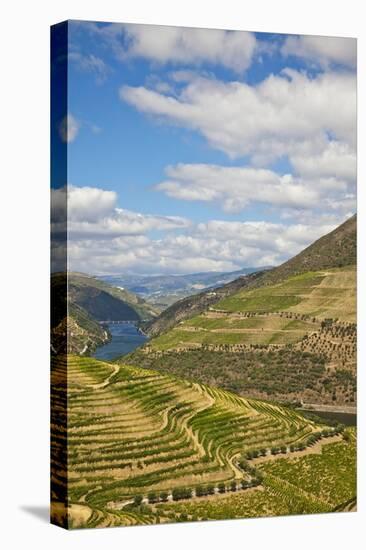 The Vineyards of the Douro Valley above Pinhao are Set on Terraced Hillsides above the Douro River.-Julianne Eggers-Stretched Canvas