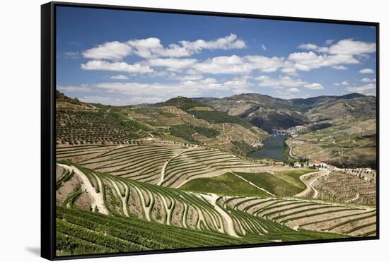 The Vineyards of the Douro Valley above Pinhao are Set on Terraced Hillsides above the Douro River.-Julianne Eggers-Framed Stretched Canvas