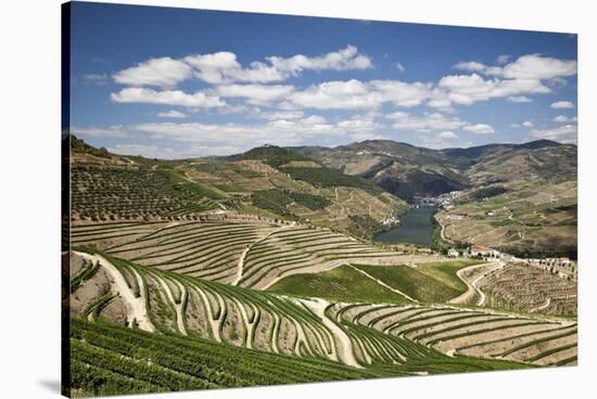 The Vineyards of the Douro Valley above Pinhao are Set on Terraced Hillsides above the Douro River.-Julianne Eggers-Stretched Canvas