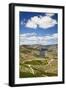 The Vineyards of the Douro Valley above Pinhao are Set on Terraced Hillsides above the Douro River.-Julianne Eggers-Framed Photographic Print