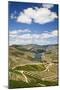 The Vineyards of the Douro Valley above Pinhao are Set on Terraced Hillsides above the Douro River.-Julianne Eggers-Mounted Photographic Print