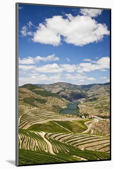 The Vineyards of the Douro Valley above Pinhao are Set on Terraced Hillsides above the Douro River.-Julianne Eggers-Mounted Photographic Print