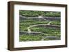 The Vineyards of the Douro Valley above Pinhao are Set on Terraced Hillsides above the Douro River.-Julianne Eggers-Framed Photographic Print