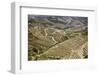 The Vineyards of the Douro Valley above Pinhao are Set on Terraced Hillsides above the Douro River.-Julianne Eggers-Framed Photographic Print