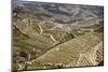 The Vineyards of the Douro Valley above Pinhao are Set on Terraced Hillsides above the Douro River.-Julianne Eggers-Mounted Photographic Print