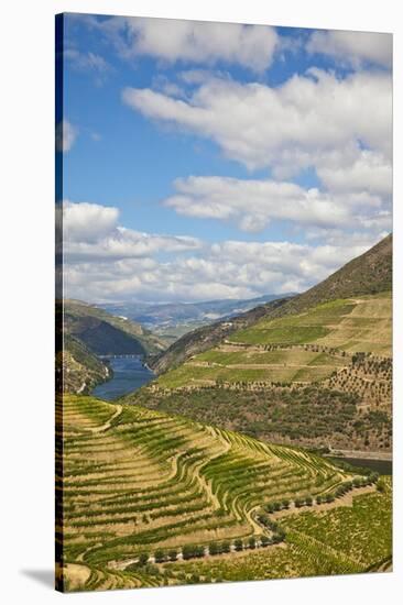 The Vineyards of the Douro Valley above Pinhao are Set on Terraced Hillsides above the Douro River.-Julianne Eggers-Stretched Canvas