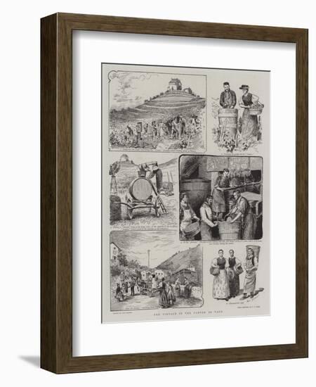 The Vintage in the Canton of Vaud-Paul Destez-Framed Giclee Print