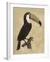 The Vintage Toucan I-Maria Mendez-Framed Giclee Print