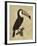 The Vintage Toucan I-Maria Mendez-Framed Giclee Print