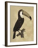 The Vintage Toucan I-Maria Mendez-Framed Giclee Print