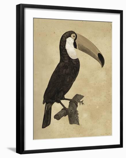 The Vintage Toucan I-Maria Mendez-Framed Giclee Print