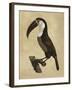 The Vintage Toucan II-Maria Mendez-Framed Giclee Print