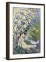 The Violets, Lively Flowers, 1897-Firmin Etienne Bouisset-Framed Giclee Print