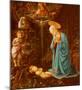 The Virgin adoring the Child-Filippino Lippi-Mounted Art Print