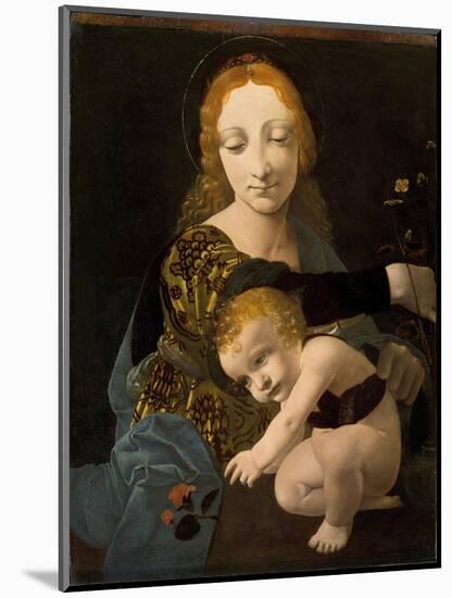 The Virgin and Child, 1480-Giovanni Antonio Boltraffio-Mounted Giclee Print