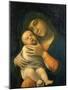 The Virgin and Child, 1490-1495-Andrea Mantegna-Mounted Giclee Print