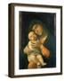 The Virgin and Child, 1490-95 (Oil on Wood)-Andrea Mantegna-Framed Giclee Print