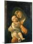 The Virgin and Child, 1490-95 (Oil on Wood)-Andrea Mantegna-Mounted Giclee Print