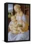 The Virgin and Child, 15th-16th Century-Lorenzo di Credi-Framed Stretched Canvas