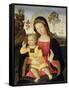 The Virgin and Child, 15th Century-Bernardino di Betto Pinturicchio-Framed Stretched Canvas