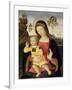 The Virgin and Child, 15th Century-Bernardino di Betto Pinturicchio-Framed Giclee Print