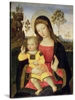 The Virgin and Child, 15th Century-Bernardino di Betto Pinturicchio-Stretched Canvas