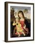 The Virgin and Child, 15th Century-Bernardino di Betto Pinturicchio-Framed Giclee Print