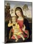 The Virgin and Child, 15th Century-Bernardino di Betto Pinturicchio-Mounted Giclee Print