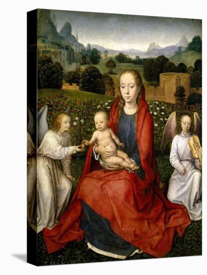 The Virgin and Child between two Angels, 1480-1490-Hans Memling-Stretched Canvas