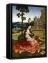 The Virgin and Child by a Fountain-Bernard van Orley-Framed Stretched Canvas