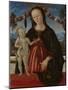 The Virgin and Child, C. 1473-Fiorenzo Di Lorenzo-Mounted Giclee Print
